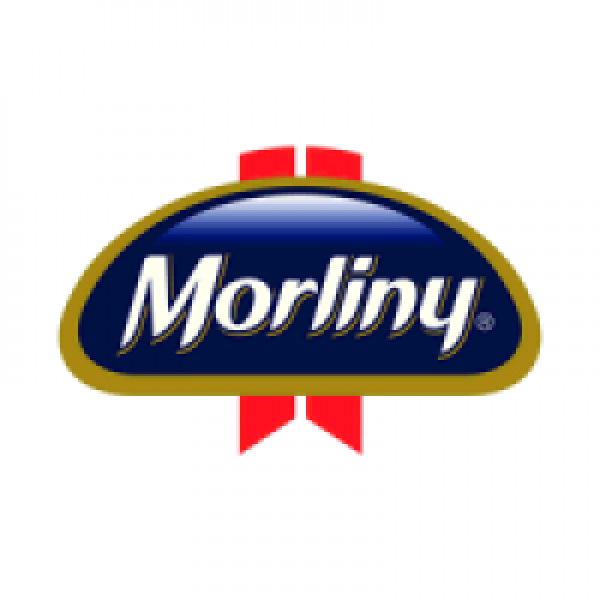 Firma Morliny