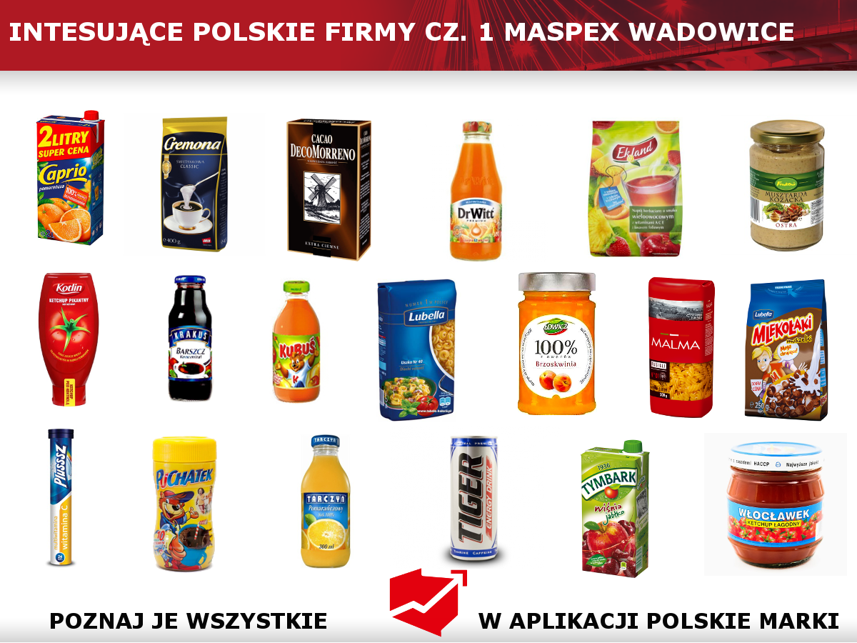 Interesujące polskie firmy