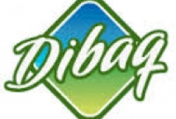 Dibaq a.s.