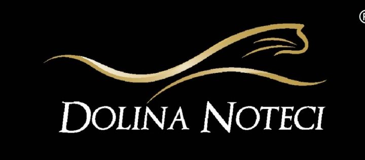 Dolina Noteci