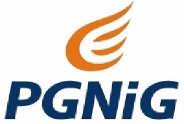 Polskie Górnictwo Naftowe i Gazownictwo (PGNi