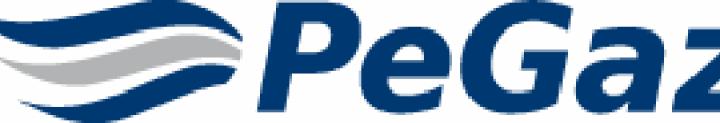 Pegaz Auto Sp. z o.o.