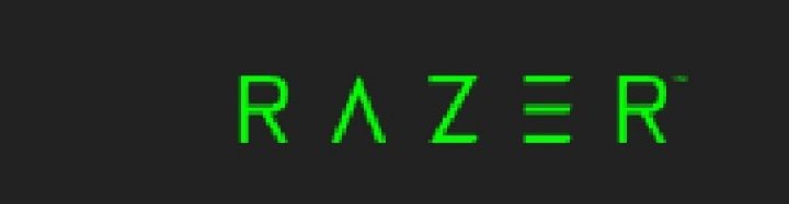 Razer Inc.