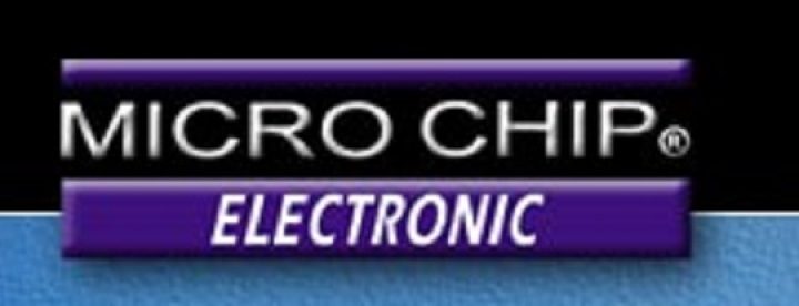 Micro Chip Electronic S.C.