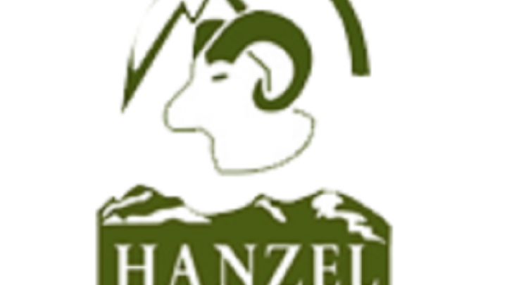 HANZEL s.c. Produkcja Obuwia
