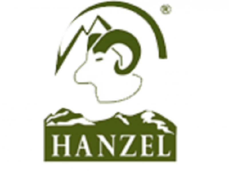HANZEL s.c. Produkcja Obuwia