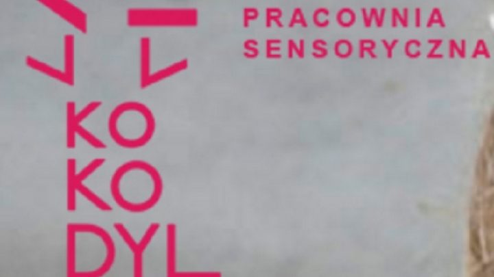 Pracownia Zabawek Sensorycznych Kokodyl