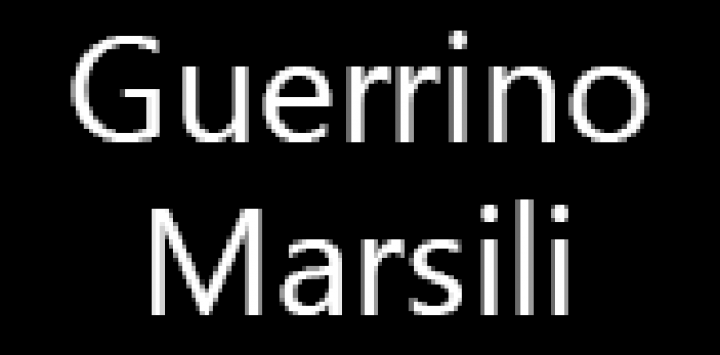 MARSILI MILCO