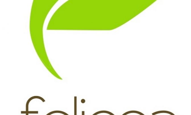 S GROUP ŁUKASZ STOKOWSKI