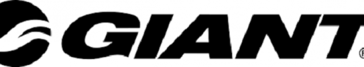 Giant Manufacturing Co. Ltd