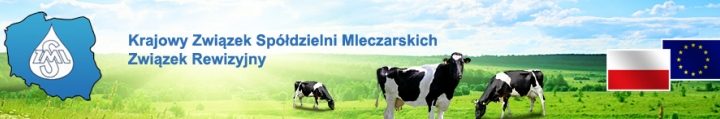 K. Z. S. M. Związek Rewizyjny