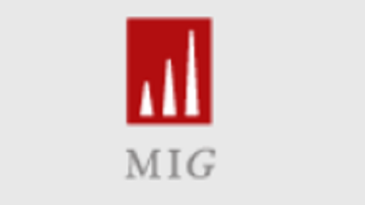 Marketing Investment Group S.A.