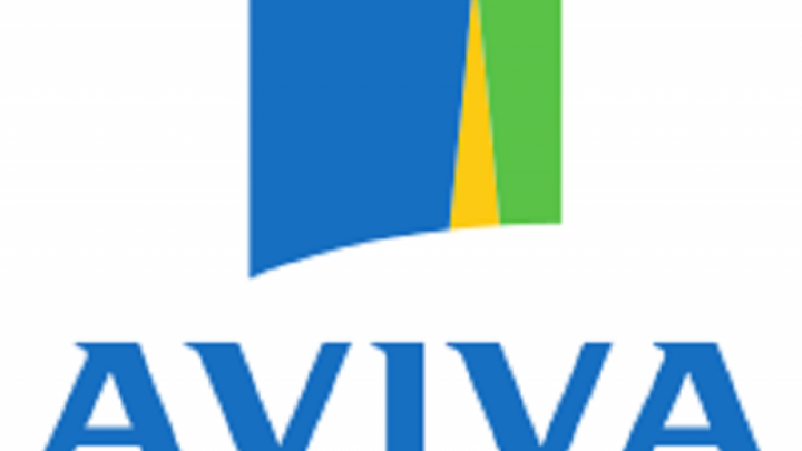 Grupa Aviva