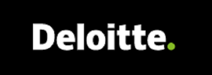 Grupa Deloitte