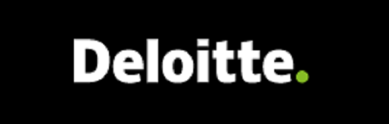 Grupa Deloitte