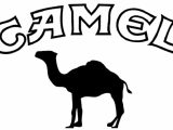 Papierosy Camel