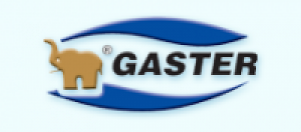 Gaster