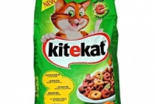 KiteKat