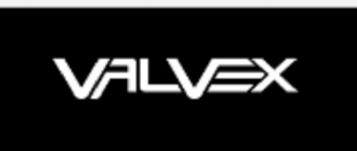 Valvex S.A.