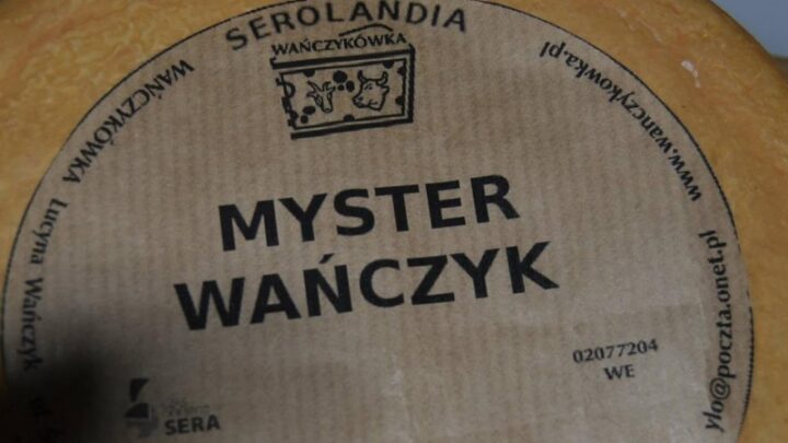 MYSTER WAŃCZYK