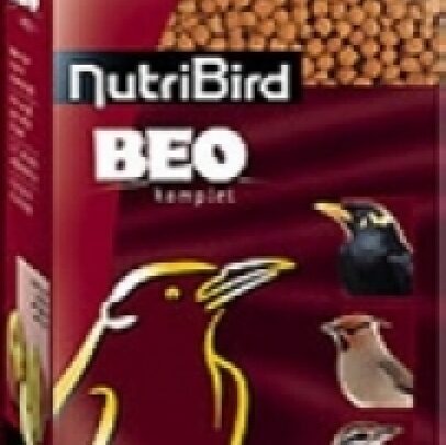 Naturi Bird