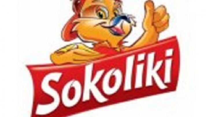 Sokoliki