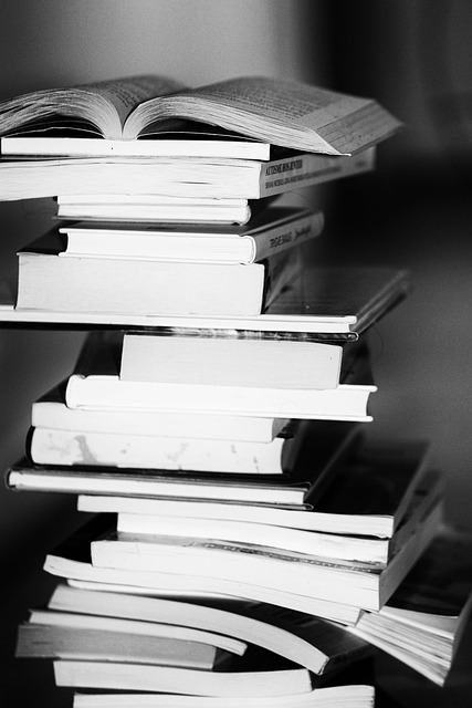 Studia – jaki kierunek będzie najlepszy? Co warto studiować?